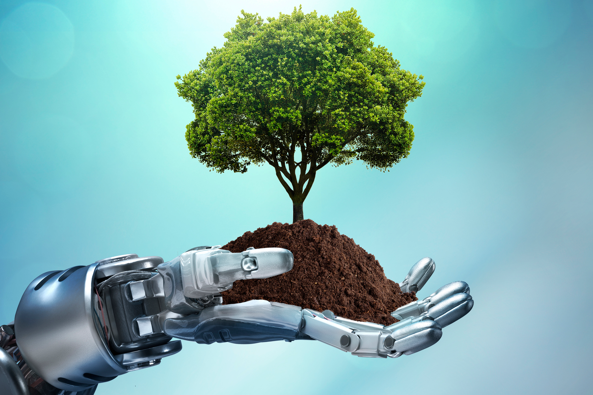 Robot hands holding soil with a growing tree, symbolizing the fusion of artificial intelligence and environmental sustainability